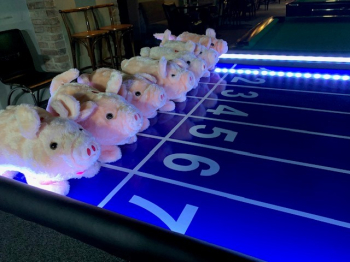 Dostihové závody prasátek nebo králíčků