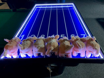 Dostihové závody prasátek nebo králíčků